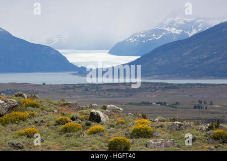 Ghiacciaio Perito Moreno sul Lago Argentino, El Calafate, Parque Nacional Los Glaciares, Patagonia, Argentina, Sud America Foto Stock