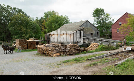 Cavallo Canadesi in via di estinzione in Canada Ontario Museum Foto Stock