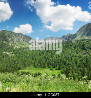 Montagne coperte di foreste e cielo blu Foto Stock