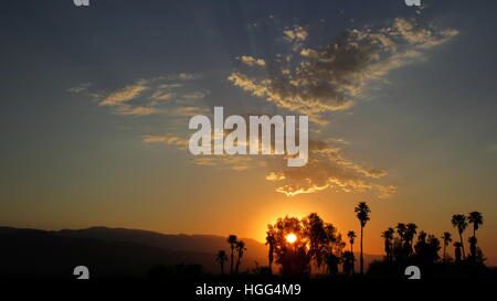 Sunrise con poche nuvole e raggi di luce in presenza di striature attraverso al di sopra di un boschetto di palme Foto Stock