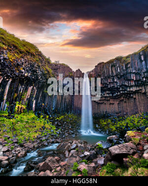 Scena estiva del famoso Svartifoss (nero caduta) cascata. Sunrise colorati in Skaftafell, Vatnajokull National Park, Islanda. Foto Stock