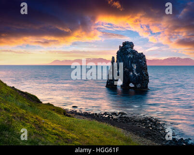 Enorme pila di basalto Hvitserkur sulla sponda orientale della penisola di Vatnsnes. Estate colorato sunrise nel nord-ovest dell'Islanda Foto Stock