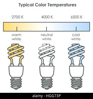 Lampadine a risparmio energetico. Vettore. Illustrazione Vettoriale