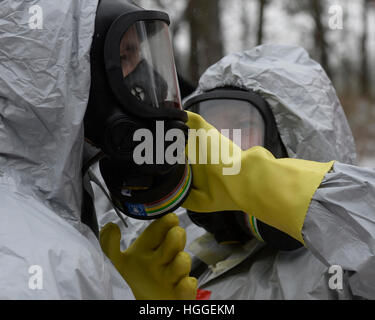 Lazne Tousen, Repubblica Ceca. 9 gennaio, 2017. Due nuovi casi di influenza aviaria sono stati confermati nella Repubblica ceca, uno in Moravia del sud e uno nella Boemia centrale, con il paese che registra un totale di cinque casi finora. Il virus dei polli in un oca in una fattoria in Lazne Tousen, una città di Praga-quartiere est, è il primo caso scoperto al di fuori del sud della Moravia. La fattoria ha fino a 800 diversi tipi di pollame. Prove di laboratorio hanno confermato l'H5N8 il ceppo del virus dell'influenza aviaria nell'oca. Foto Stock