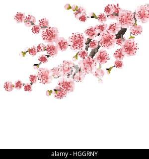 Sakura realistico giappone ramo di ciliegio. EPS 10 Illustrazione Vettoriale