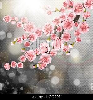 Fioritura rosa sakura fiori. EPS 10 Illustrazione Vettoriale