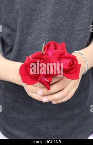 Un bambino holding fioritura di rose rosse in mano Foto Stock