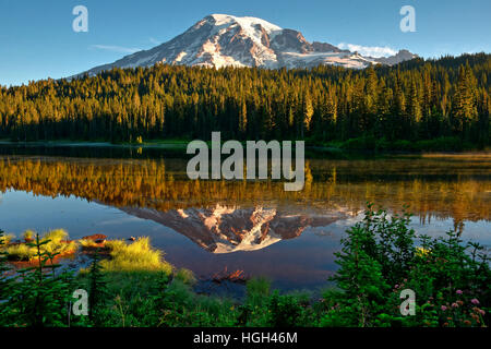 La riflessione di Mount Rainier nella riflessione Lake, il Parco Nazionale del Monte Rainier, la cascata di gamma, Washington, Pacific Northwest, STATI UNITI D'AMERICA Foto Stock
