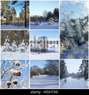 Bellissimo collage di inverno Foto Stock