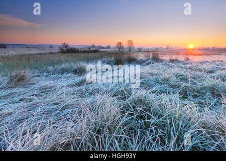 Alba sul prato il pupazzo di neve Foto Stock