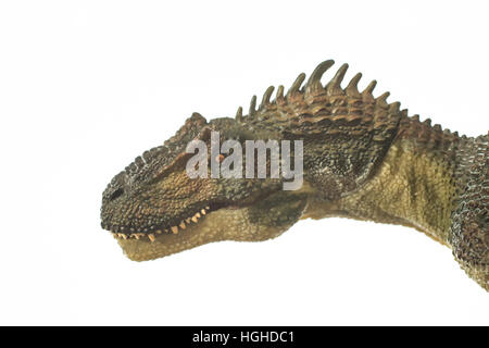 Allosaurus su sfondo bianco Foto Stock