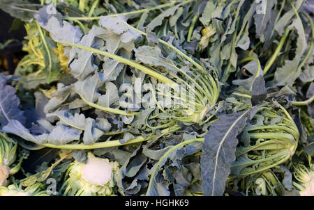 Genuine originale verde broccoli Nord Italia chiamato BROCCOLO FIOLARO in vendita presso il fruttivendolo Foto Stock