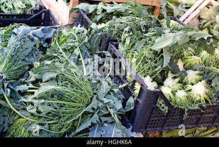 Genuine originale verde broccoli Nord Italia chiamato BROCCOLO FIOLARO in vendita presso il fruttivendolo Foto Stock