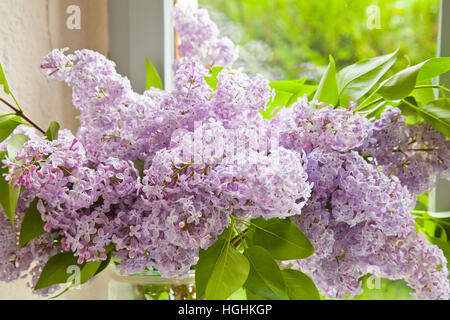 Bouquet lilla 'Syringa vulgaris " in una casa (Europa, Francia) Foto Stock