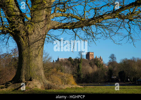 Una vista della magnifica St Albans Cathedral visto da Verulamium Park nella storica città di St. Albans, Inghilterra. Foto Stock
