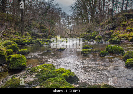 Fiume Mellte Foto Stock