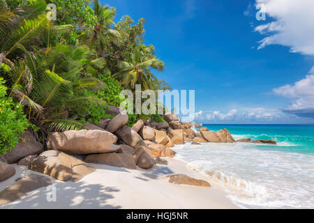 Anse Georgette Beach sull'isola di Praslin alle Seychelles. Foto Stock