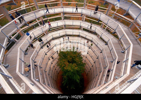 La passerella in cima di albero in Germania prora Foto Stock