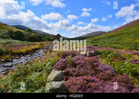 Harthope Valley, Cheviot Hills, Northumberland Foto Stock