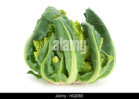 Cavolo broccolo Romanesco isolati su sfondo bianco Foto Stock