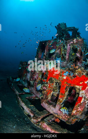 Grandangolari Coral Reef View, Bali, Indonesia Foto Stock