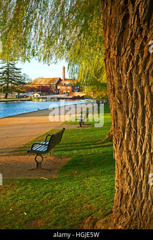 Vista del fiume dalla massa di ricreazione in Stratford upon Avon verso il cantiere di Coxs Foto Stock