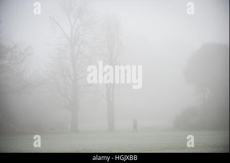 Alberi e una persona a piedi attraverso un parco si stagliano contro il cielo in una nebbiosa mattina d'inverno. Foto Stock