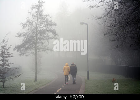 St George's Park, Wandsworth, a sud-ovest di Londra. Regno Unito. 23 gennaio, 2017. Mostra immagine: dog walkers nel congelamento di nebbia che ha protetto molto di Londra di questa mattina: Credito mainpicture/Alamy Live News Foto Stock