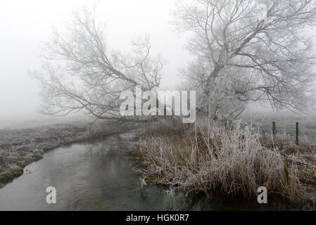 Albero diviso in mezzo in una scena gelosa di campagna verricello accanto ad un fiume Foto Stock