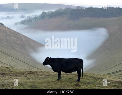 Devil's Dyke, East Sussex 23 gennaio 2017 sulle colline del South Downs National Park vicino a Brighton salire al di sopra della nebbia al tramonto. ©Peter Cripps/Alamy Live News Foto Stock