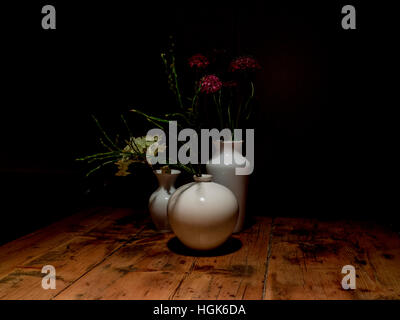 Fiori in vaso Foto Stock