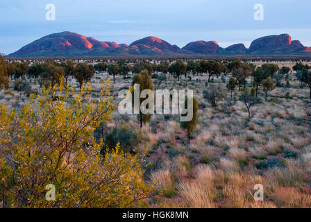 Olgas, Territorio del Nord, l'Australia Foto Stock