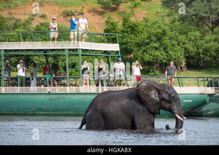 I turisti sulle rive di un fiume safari nel Chobe National Park, Botswana, Africa Foto Stock