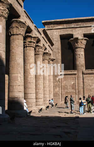 Il Tempio di Edfu, dedicato al dio falco Horus, sul fiume Nilo è uno dei meglio conservati e più popolari in Egitto Foto Stock