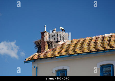 Cicogne nidi su un edificio, Sedjenane stazione ferroviaria, Sedjenane, Tunisia Foto Stock