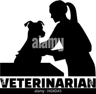 Veterinario - medico donna Foto Stock