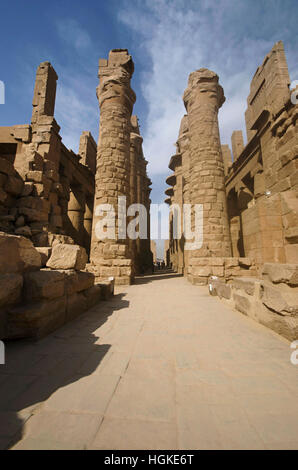 Vista interna di un tempio e scolpito pilastri della grande hypostyle hall nel distretto di Amon Re, situato al Tempio di Karnak complessa Foto Stock