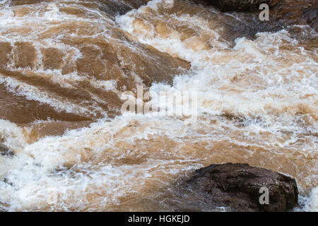 Messa a fuoco ravvicinata sull onda di fango acqua che fluisce attraverso il fiume di roccia dopo la pioggia di all'interno della foresta tropicale Foto Stock