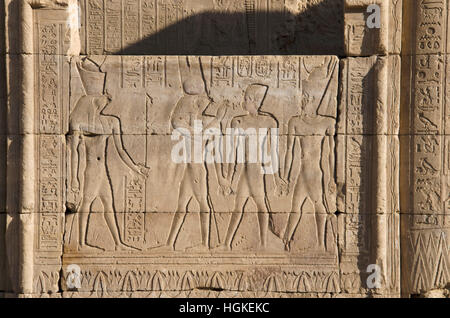 Incisioni sulla parete interna del Tempio di Edfu, è uno dei meglio conservati di santuari in Egitto, dedicato al dio falco Horus Foto Stock