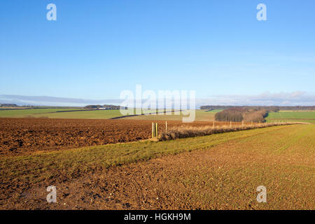 Le forme, i modelli e le texture del pittoresco paesaggio patchwork di Yorkshire wolds in inverno, Foto Stock