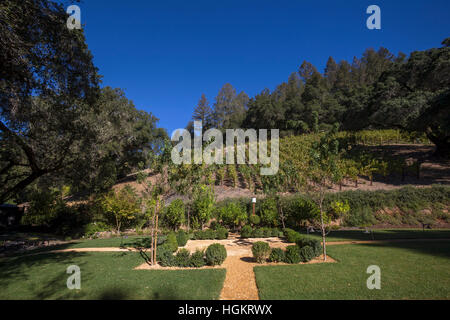 Vigneto, Chateau Boswell Cantina, Saint Helena, la Valle di Napa NAPA County, California Foto Stock