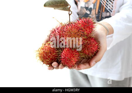 Mano che tiene fresco Nephelium lappaceum o noto anche come frutti di rambutan isolata contro uno sfondo bianco Foto Stock