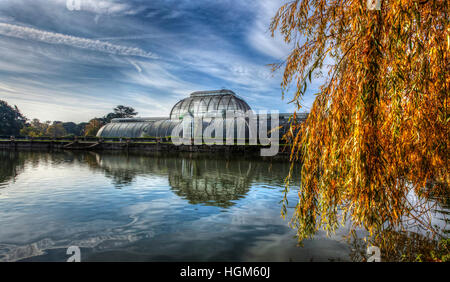 La Casa delle Palme Parterre con display floreali di circa 16.000 piante, Kew Royal Botanical Gardens, Richmond, Surrey, Inghilterra, GB, UK. Foto Stock