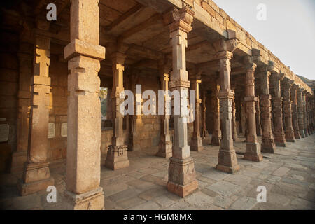 Colonne con scultura in pietra nel cortile del Quwwat-Ul-islam moschea, Qutub Minar complesso, Delhi, India Foto Stock