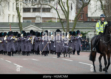 Buckingham Palace, London, Regno Unito. Il 10 gennaio 2017. Irish Wolfhound Domhnall, mascotte del reggimento delle guardie irlandesi, accompagna il primo battaglione irlandese Guardie per la modifica della cerimonia di guardia a Buckingham Palace, vestito in uniforme d'inverno. © Malcolm Park editoriale/Alamy Live News. Foto Stock