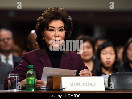 Washington, Stati Uniti d'America. Xi gen, 2017. Elaine Chao testimonia prima di Stati Uniti Il commercio del senato, di scienza e di comitato di trasporto durante l'audizione di conferma per la sua nomina a essere il Segretario dei trasporti a Capitol Hill a Washington, DC, Stati Uniti. Trump's nominee per eseguire l'U.S. Dipartimento di Transportation Elaine Chao aveva la sua audizione di conferma il mercoledì. Chao è stato vice Segretario dei trasporti sotto ex presidente repubblicano George H.W. Bush, e segretario del Lavoro sotto George Bush. Credito: Bao Dandan/Xinhua/Alamy Live News Foto Stock