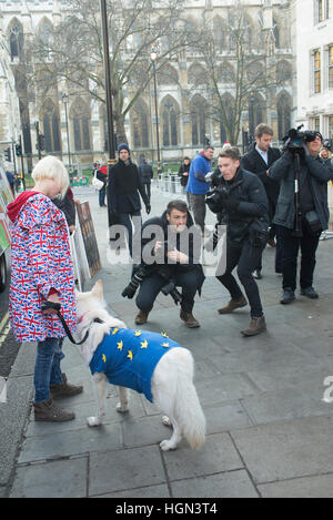 Londra, UK, 05/12/2016, Londra corte suprema stunt, Madeleina Kay e Alba Lupo Bianco. Foto Stock