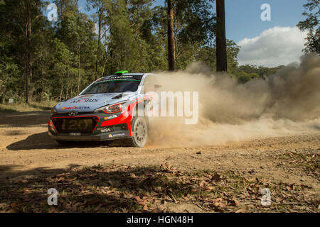 Domenica 20 Novembre, 2016. Coffs Harbour, Australia. Speciale allo stadio 20, Bucca. Dani Sordo, Hyundai Motorsport World Rally Team. Sordo Rally finito Au Foto Stock