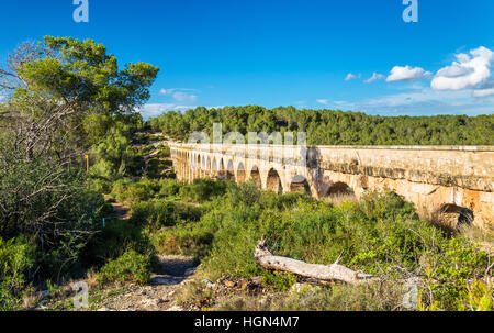 Les Ferreres acquedotto, noto anche come Pont del Diable - Tarragona, Spagna Foto Stock