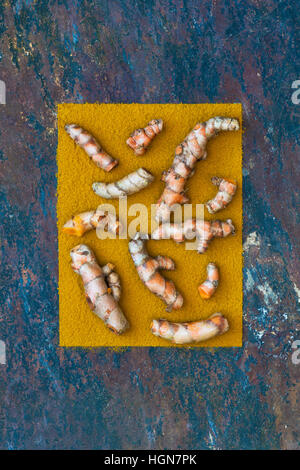 Curcuma rizomi e la curcuma in polvere su un sfondo di ardesia Foto Stock